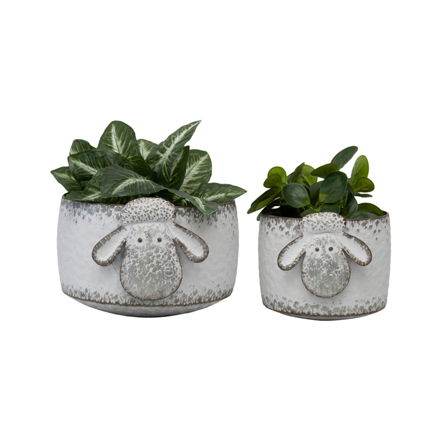 Set/2 Nested Sheep Wallhanging Planters 29.5x26.5x19/21x20x17.5cm