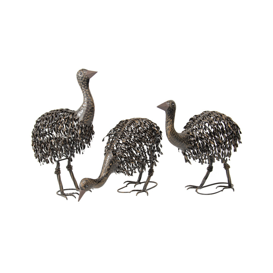 3 Piece Asstorted Emu Chicks – Dropship Order