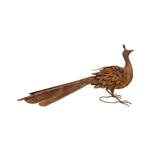 Load image into Gallery viewer, Rust Peacock 88x22x44cm
